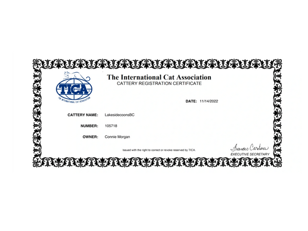 Cattery registration certificate from The International Cat Association for LakesidecoonsBC.