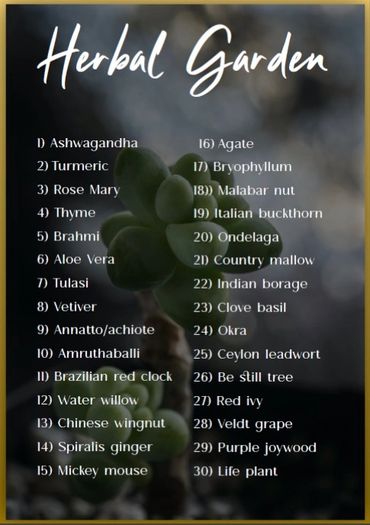 Sammys Palm Hills Amenities