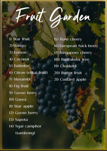 Sammys Palm Hills Amenities