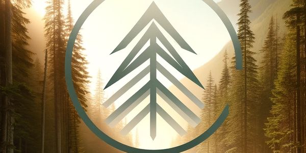 An image of a forest and a dry river bed with the sun rising.  Logo in middle of a tree