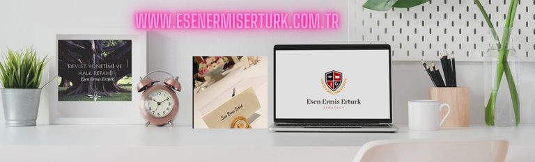 Esen Ermiş Ertürk,Siyasal İletişim,Uluslararası İlişkiler