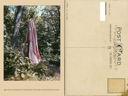 front and back view of postcard designed by the artist with the photographs she took in Forest Park