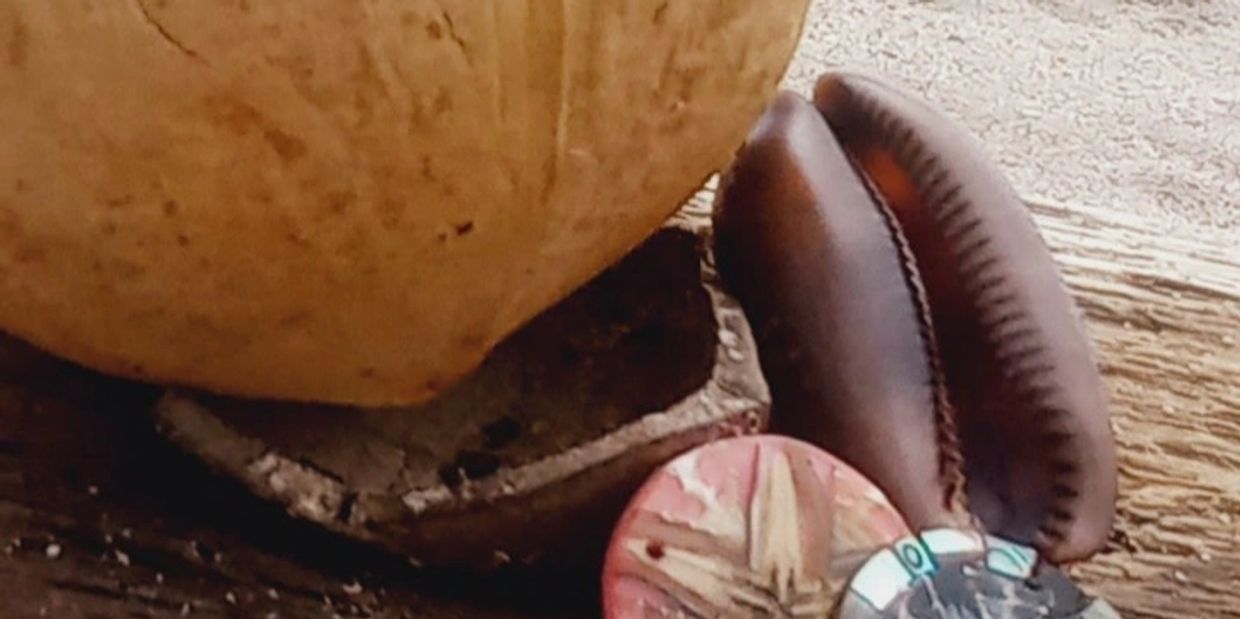 A close-up of a shell and a few decorative beads on a wooden surface.
