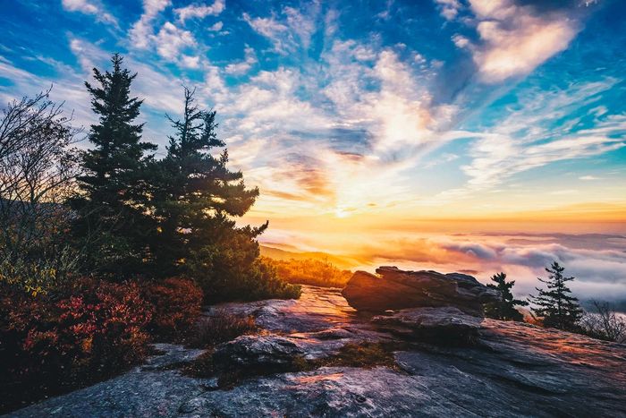"Life is not merely to be alive, but to be well." -Martial
