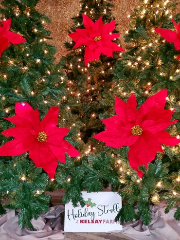 Christmas trees decorated with red poinsettias and lights at Kelsay Farms Holiday Stroll.