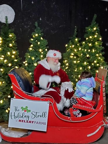 Santa Claus chats with a child in a festive sleigh at Kelsay Farms.