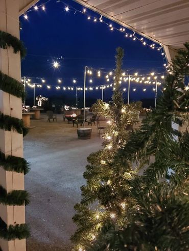 Outdoor festive Christmas lights and decorated trees at night.