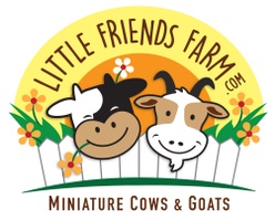 Little Friends Farm