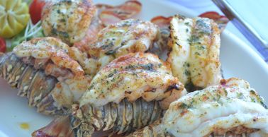 Lobster for lunch