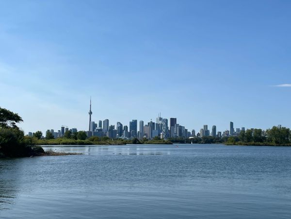 The Toronto skyline viewed from across a body of water with trees in the middle ground and blue sky.