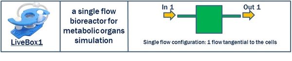 Single flow bioreactors for Attached cell culture models