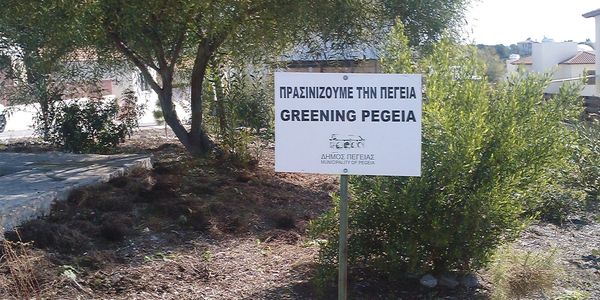 A small Volunteer Team for Greening Pegeia worked for several years upgrading Municipality green are