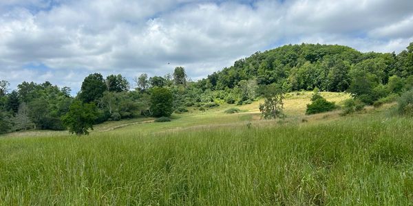Rolling green hills in daytime