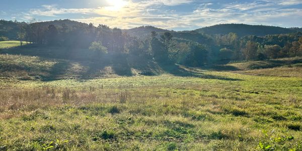 Rolling green hills in daytime