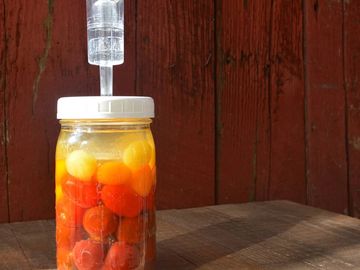 Kimchi Sauerkraut Pickles Living Probiotic rich fermented foods asheville nc educational