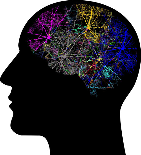 mind network