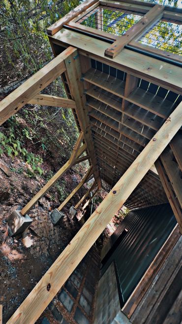 Wooden pillars supporting an elevated deck in a forest area.