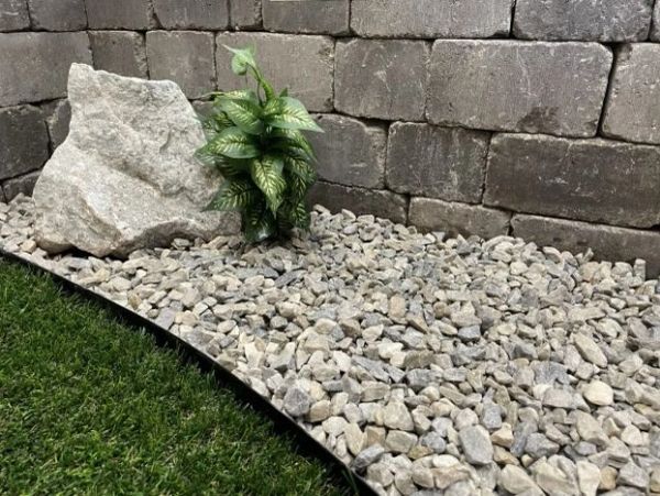 Rock garden with green plant and stone wall.