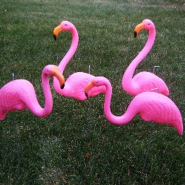Yard Cards - flamingos - plastic