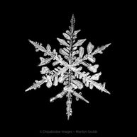 macro photography, snowflake, layers, photoshop, photography, closeup
