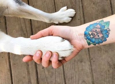 A person holding a dog's paw with a colorful tattoo on their arm.