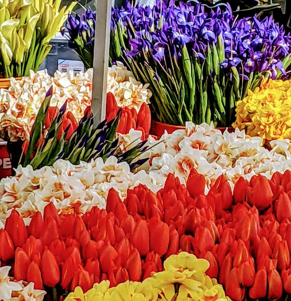 colorful flowers at a farmers market