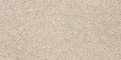 Nylon carpet choices available