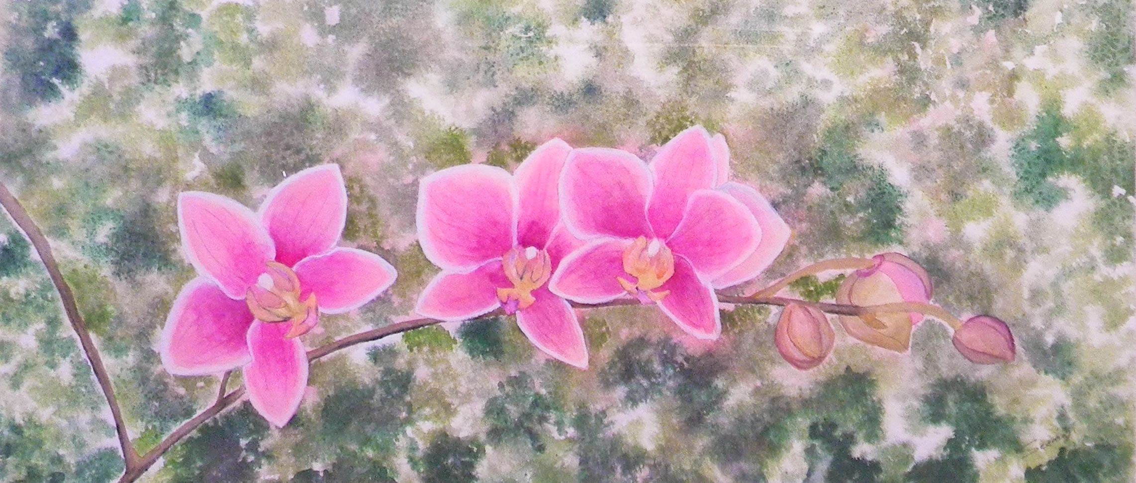 Pink Orchids (Watercolor) - for my daughter