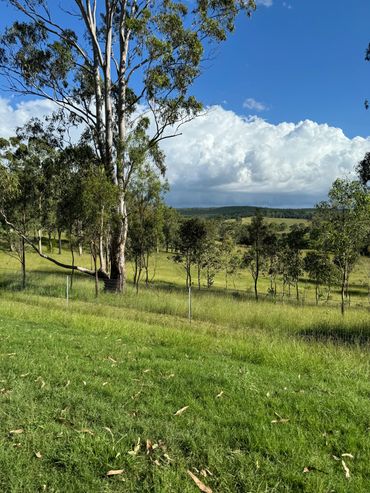 The gorgeous view of green pastures and rolling clouds