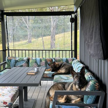 Dogs enjoying the heated deck