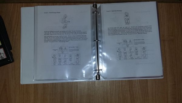 Inside of My Pain Alert + Binder showing Level 3 and 4 stories in clear sheet protector sleeves.