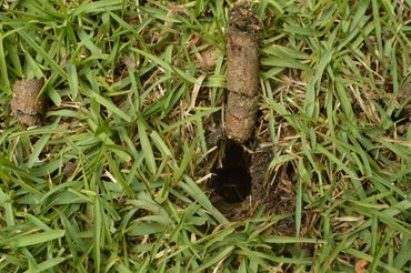 Lawn Aeration Soil Tube