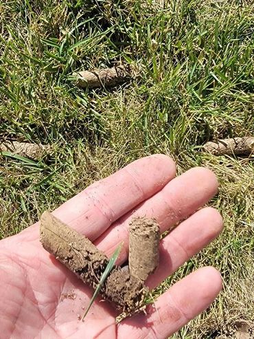 Lawn Aeration Soil