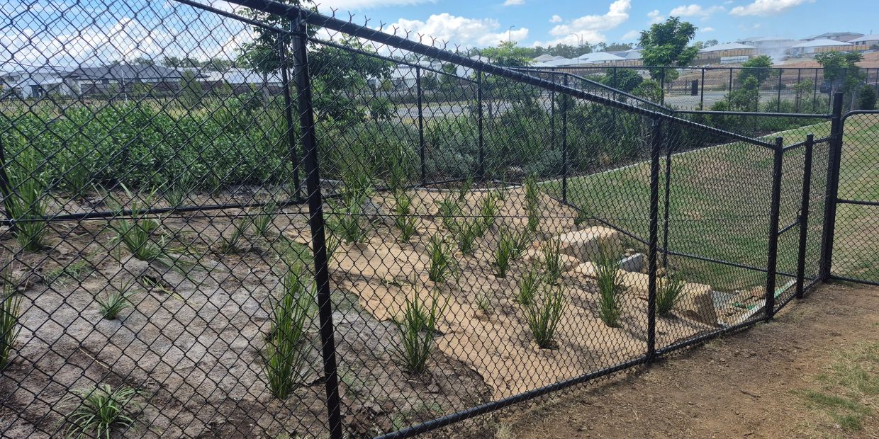 A fenced garden area with young plants under a blue sky.
