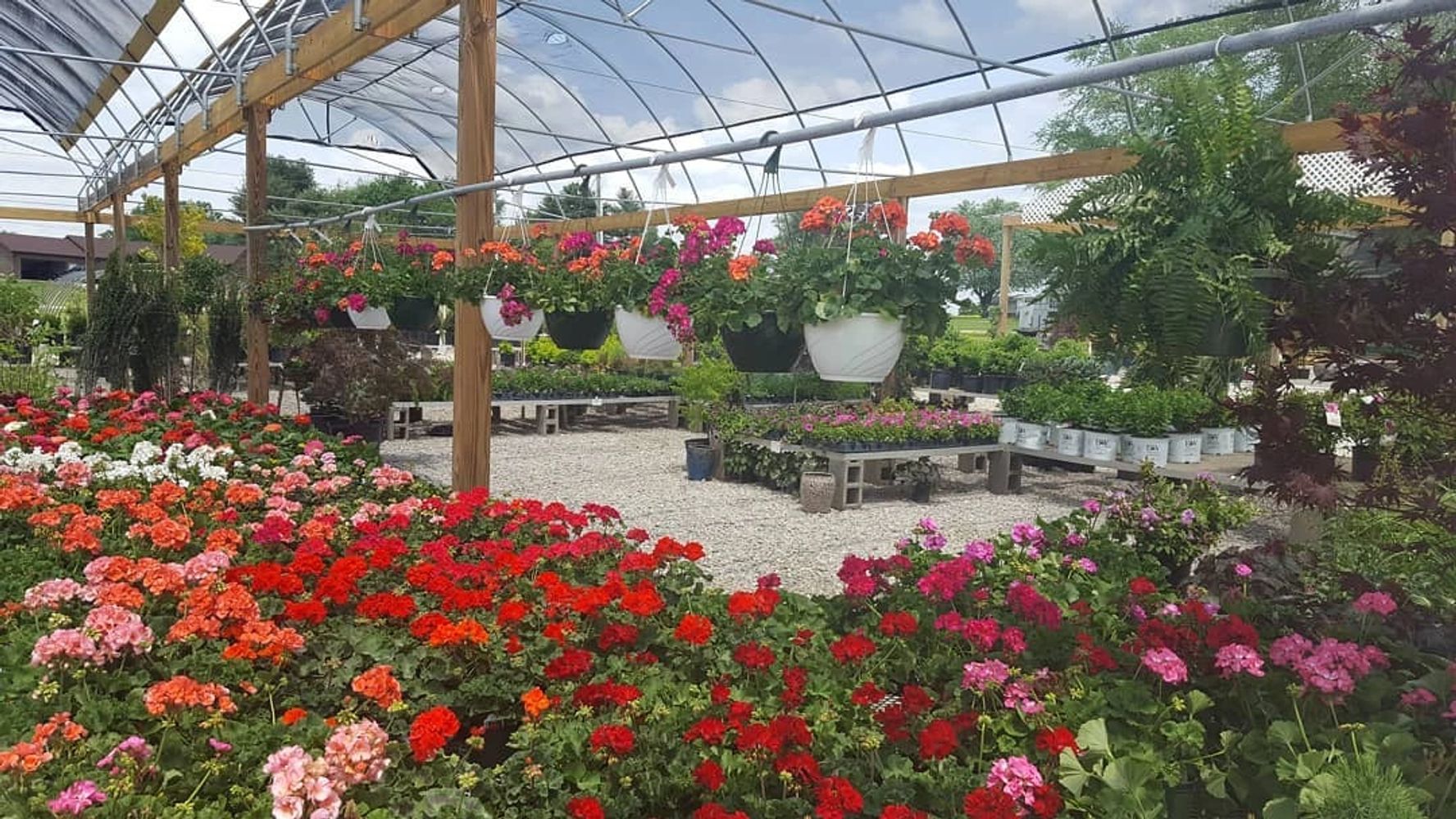 Locally grown plants for gardening and landscaping!