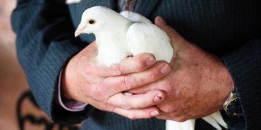 Ken with dove