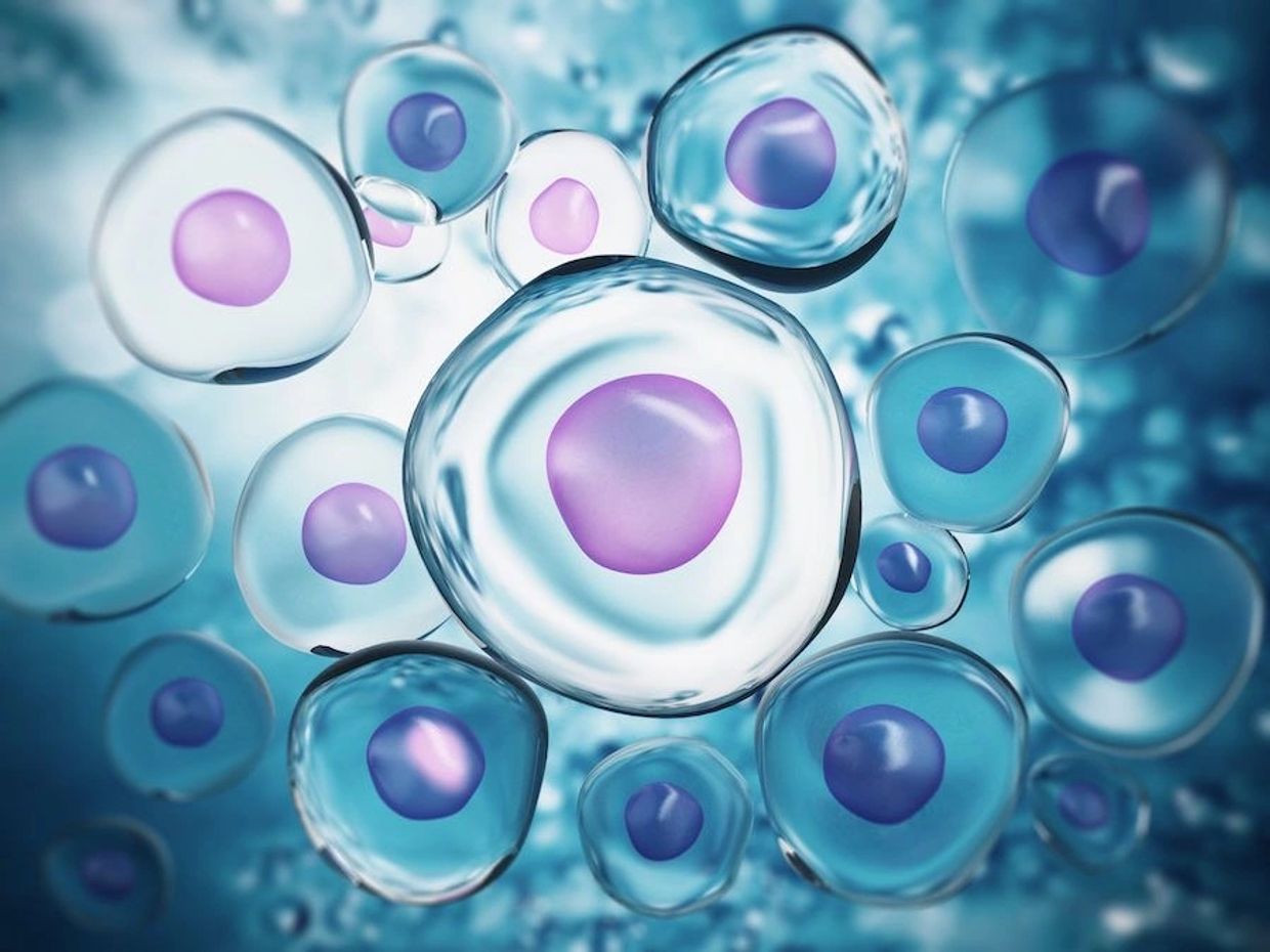 3D illustration of cells with visible nuclei in blue and purple hues.