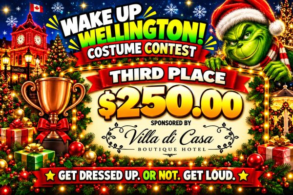 Holiday costume contest poster with Grinch and cash prize.