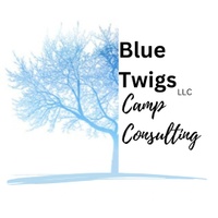Consulting To Shine A Light On  the Magic Of Your Camp Program