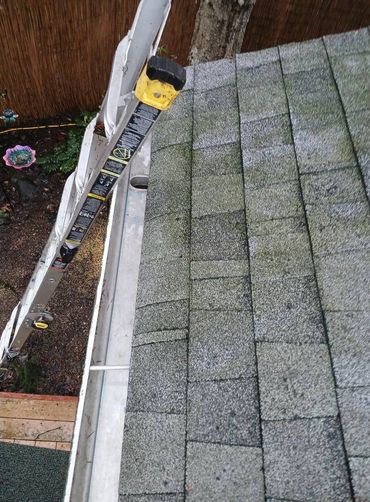 clean downspouts and gutter