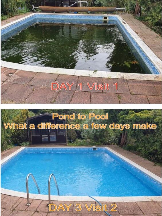 Green pool issues