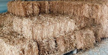 wheat straw, wheat straw bales, bulk wheat straw, hay bales, straw mulch, landscaping mulch