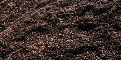 Mushroom compost, garden compost, bulk mushroom compost, mushroom fertalizer