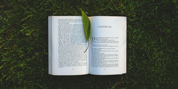 Open book on grass with a green leaf as a bookmark.