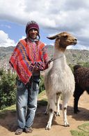 S. American Indian using a rope to guide the llama. They don't use halters in the Andes Mts.