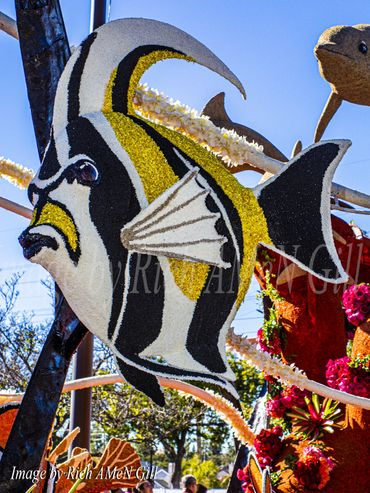 2019 Rose Parade Float Images...Photos taken by Rich AMeN Gill...