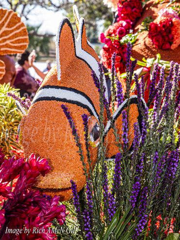 2019 Rose Parade Float Images...Photos taken by Rich AMeN Gill...