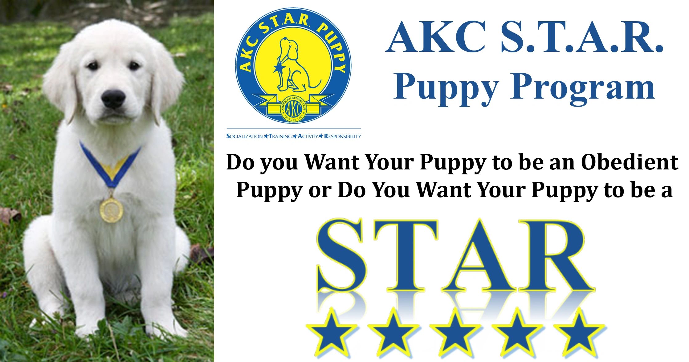 AKC STAR Puppy Program S.T.A.R. dog training 