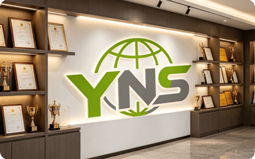Modern office wall with YNS logo and award trophies.