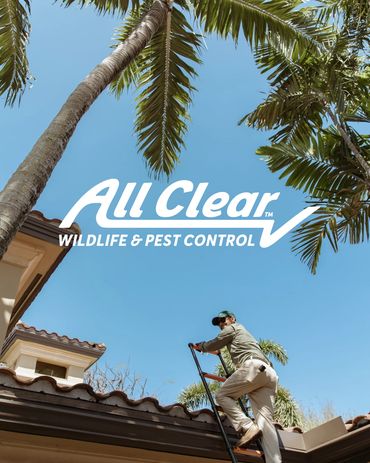 Logo in white, over photo of a pest control technician climbing onto a tiled roof.